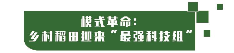隆平富硒大米价格表最新（富硒大米的价格）-硒宝网