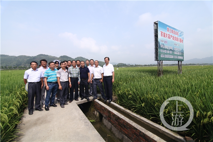 隆平富硒大米价格表最新（富硒大米的价格）-硒宝网