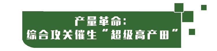 隆平富硒大米价格表最新（富硒大米的价格）-硒宝网