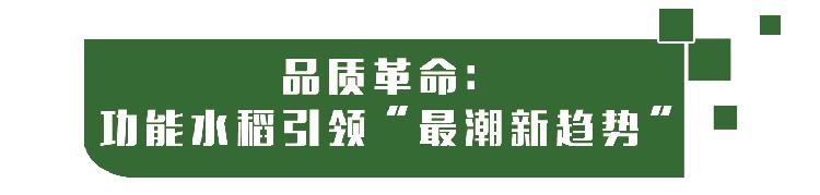 隆平富硒大米价格表最新（富硒大米的价格）-硒宝网