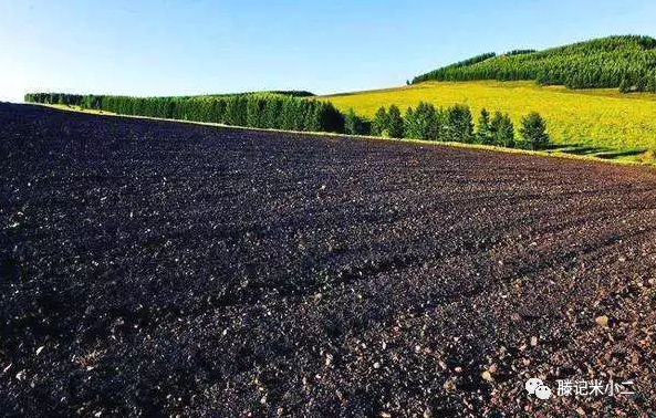 什么人不适合富硒大米呢(富硒大米能补硒吗)-硒宝网