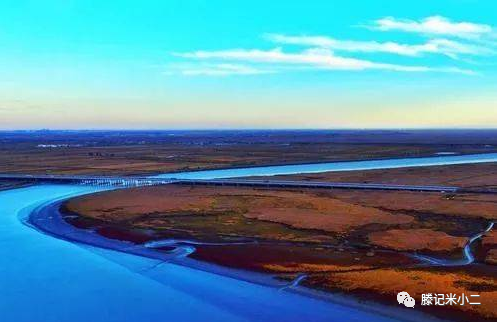 什么人不适合富硒大米呢(富硒大米能补硒吗)-硒宝网