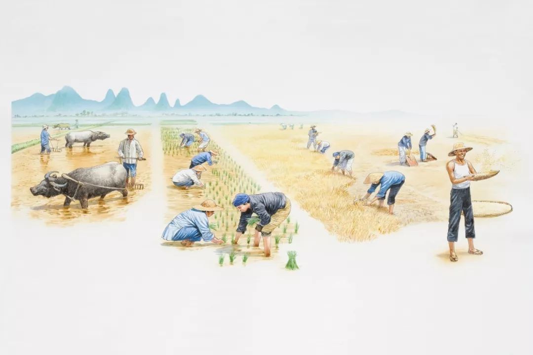 安康富硒大米十斤多少钱（安康富硒食品有限公司）-硒宝网