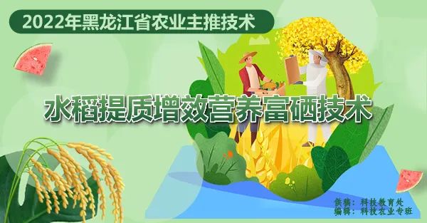 黑龙江富硒大米每亩产量(黑龙江富硒大米多少钱一斤)-硒宝网