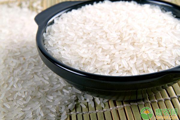 黑龙江五常富硒大米特点(黑龙江5常大米)-硒宝网