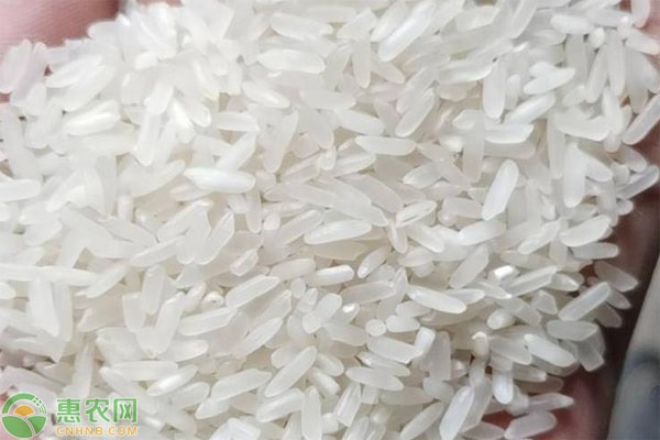 黑龙江五常富硒大米特点(黑龙江5常大米)-硒宝网