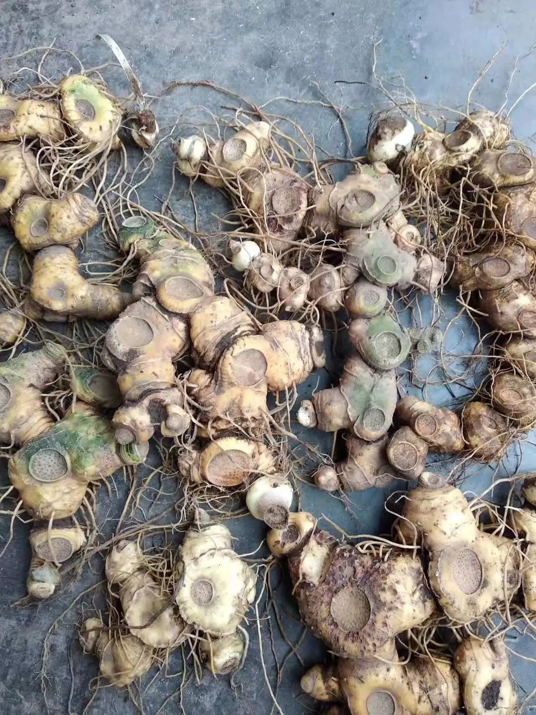 鸭田富硒大米多少钱1斤(鸭田富硒大米价格)-硒宝网