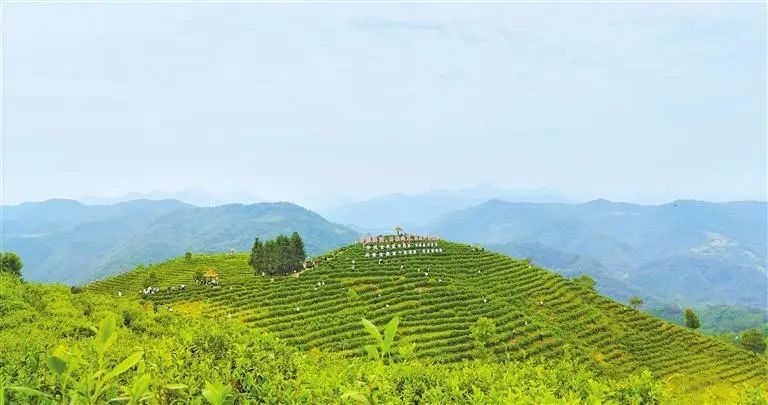 大山第一村富硒大米价格(富硒大米基地)-硒宝网