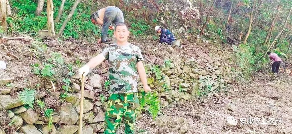 大山第一村富硒大米价格(富硒优质大米)-硒宝网