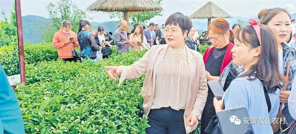 大山第一村富硒大米价格(富硒优质大米)-硒宝网