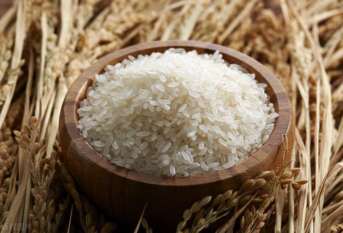 富硒大米碳水化合物高吗(富硒大米中含有的主要营养素是)-硒宝网