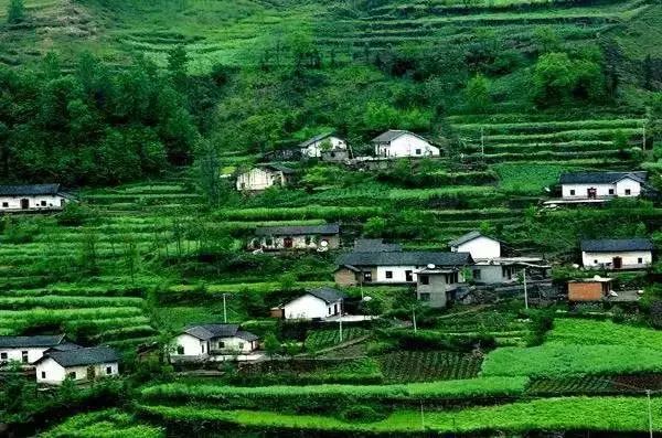 大山第一村富硒大米价格(大山村富硒米多少钱一斤)-硒宝网