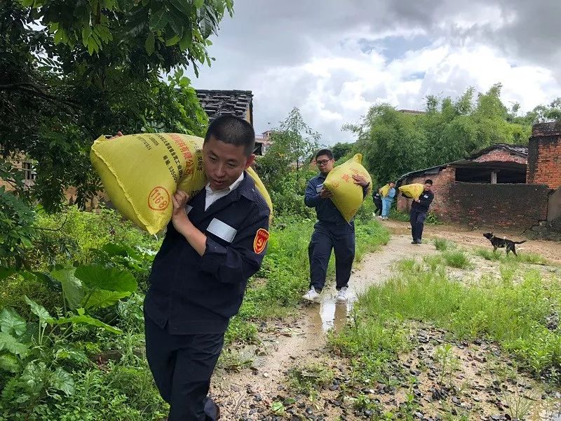 陆川县富硒大米哪可以买(富硒大米好吃吗)-硒宝网