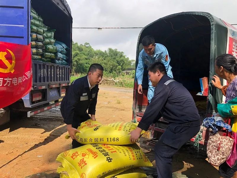 陆川县富硒大米哪可以买(富硒大米好吃吗)-硒宝网