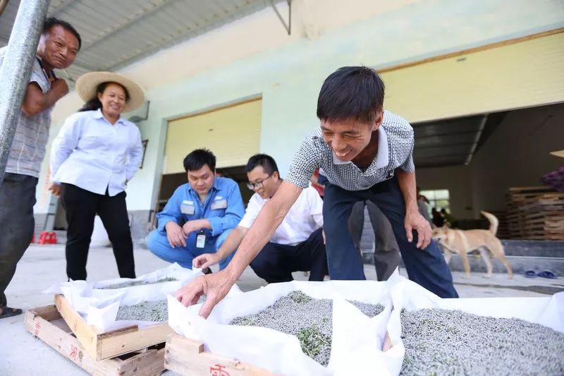 陆川县富硒大米哪可以买(富硒大米好吃吗)-硒宝网