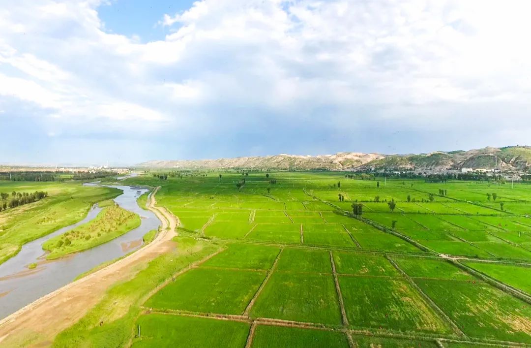 富硒蟹田大米一斤多少钱（蟹田大米好吃不）-硒宝网