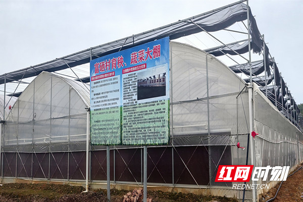 富硒大米一级多少钱一斤(富硒大米的国家标准)-硒宝网