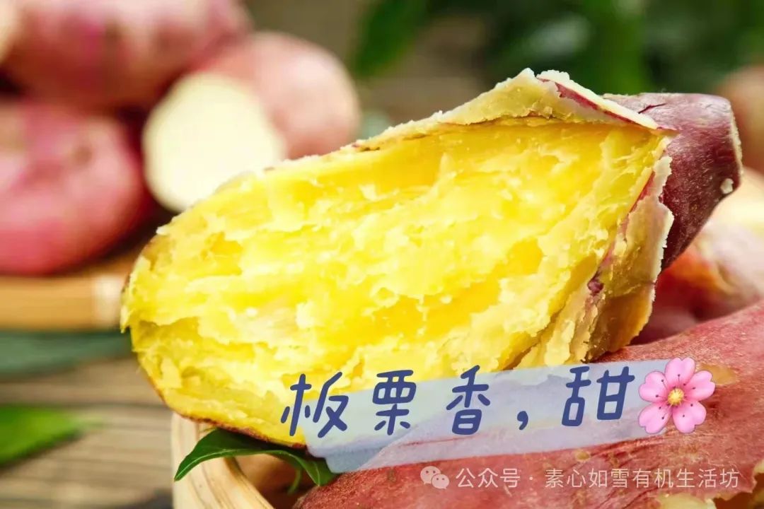 海南富硒地瓜减肥能吃吗（富硒地瓜含糖量高吗）-硒宝网