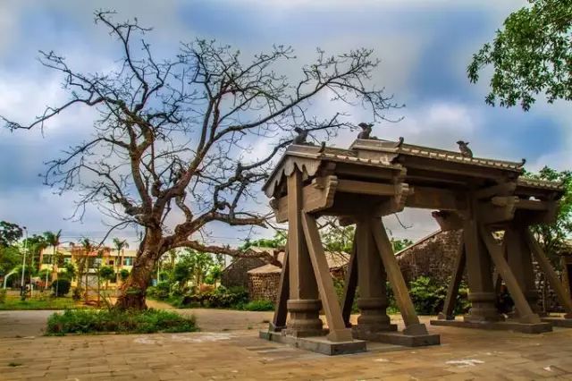 海南富硒地瓜减肥能吃吗（减肥可以吃富硒地瓜吗）-硒宝网