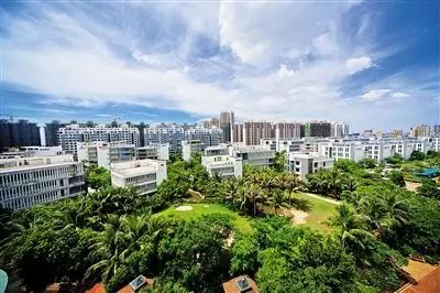 海南富硒地瓜减肥能吃吗（减肥可以吃富硒地瓜吗）-硒宝网