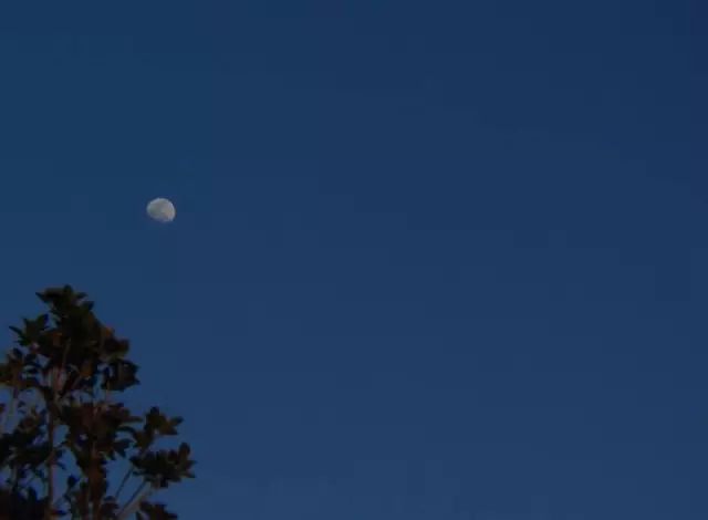 海南富硒地瓜减肥能吃吗（减肥可以吃富硒地瓜吗）-硒宝网