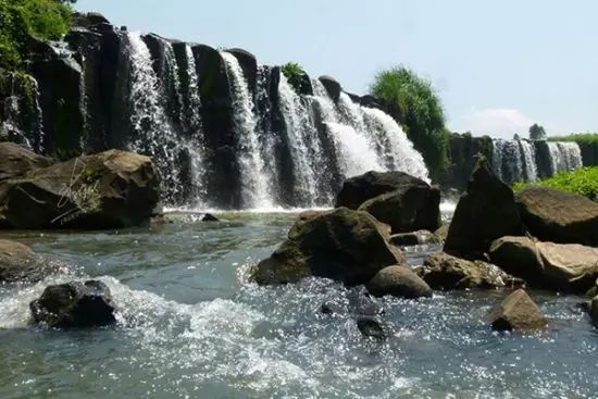 海南富硒地瓜减肥能吃吗（减肥可以吃富硒地瓜吗）-硒宝网