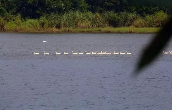 海南富硒地瓜减肥能吃吗（减肥可以吃富硒地瓜吗）-硒宝网