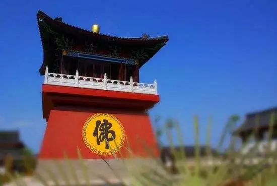 海南富硒地瓜减肥能吃吗（减肥可以吃富硒地瓜吗）-硒宝网