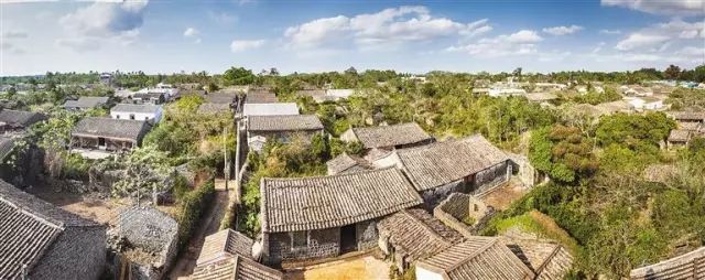 海南富硒地瓜减肥能吃吗（减肥可以吃富硒地瓜吗）-硒宝网