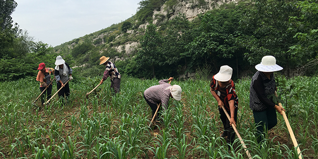富硒大米一般多少钱一斤（富硒的大米）-硒宝网