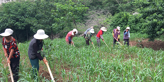富硒大米一般多少钱一斤（富硒的大米）-硒宝网