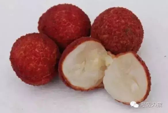 海南富硒地瓜减肥能吃吗（海南富硒地瓜好吃吗）-硒宝网