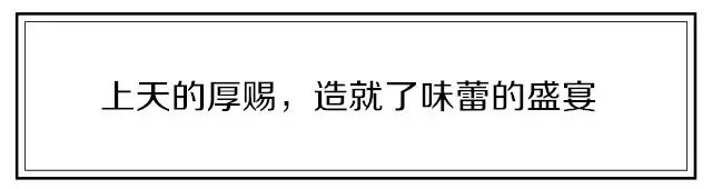 桥头地瓜与富硒地瓜区别（桥头地瓜含硒真的高吗）-硒宝网