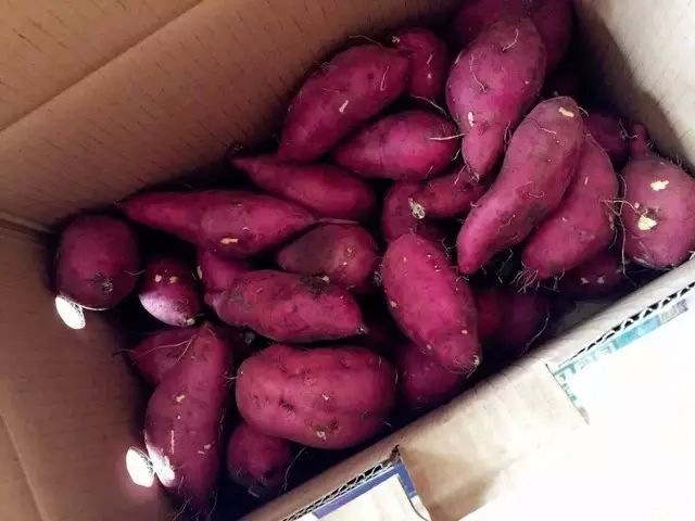 桥头地瓜与富硒地瓜区别（桥头地瓜含硒真的高吗）-硒宝网