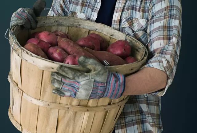 桥头地瓜与富硒地瓜区别（桥头地瓜含硒真的高吗）-硒宝网