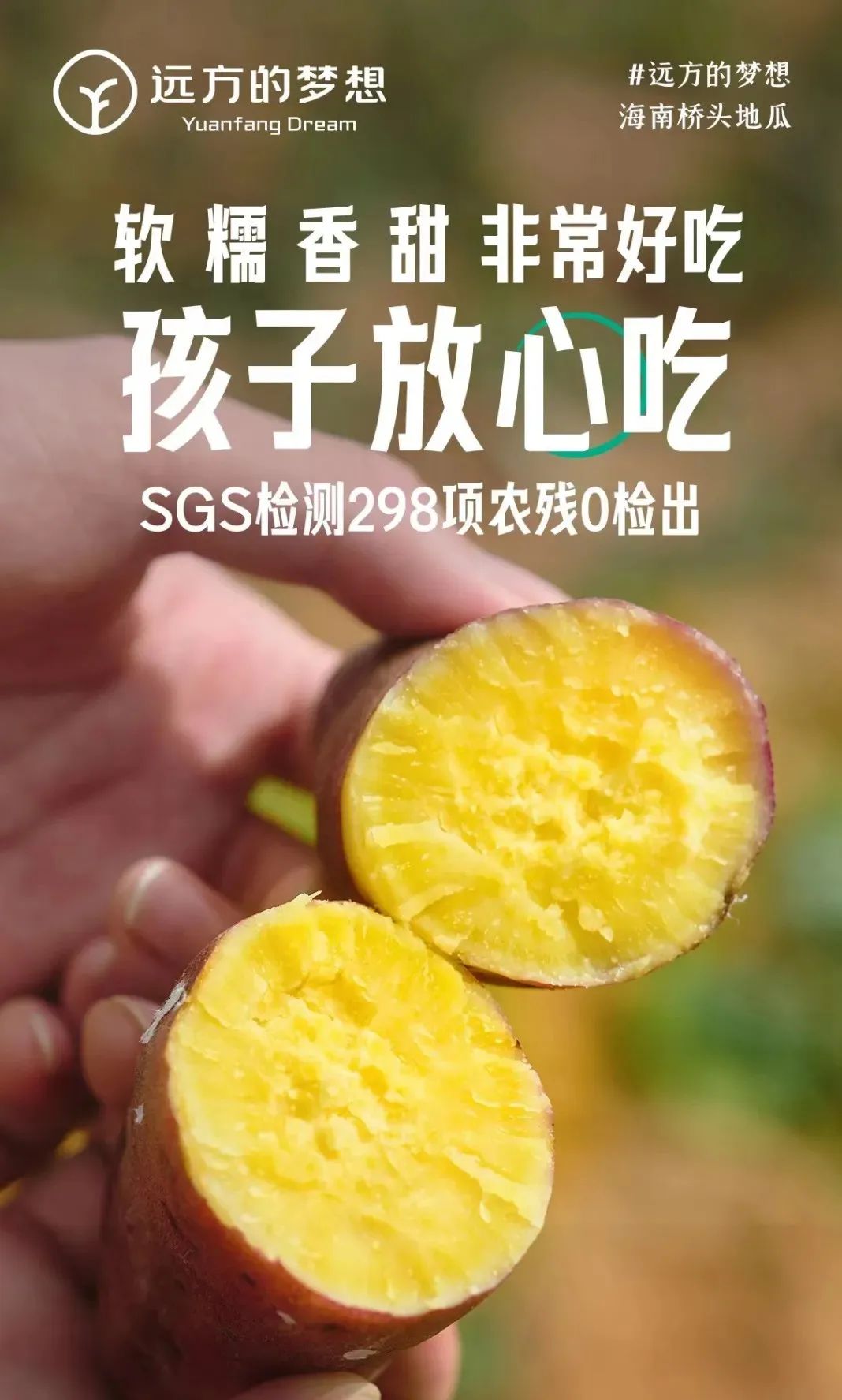 桥头富硒地瓜和板栗地瓜（桥头板栗薯）-硒宝网