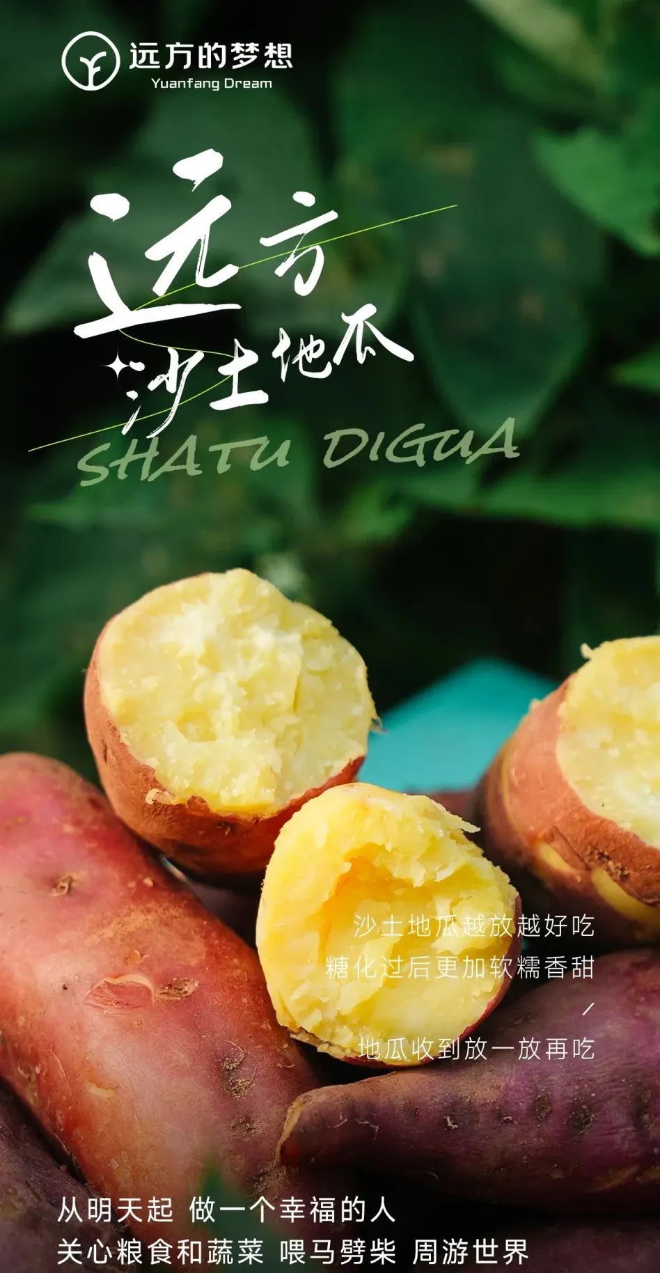 桥头富硒地瓜和板栗地瓜（桥头板栗薯）-硒宝网