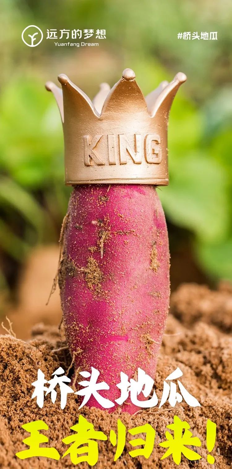 桥头富硒地瓜和板栗地瓜（桥头板栗薯）-硒宝网