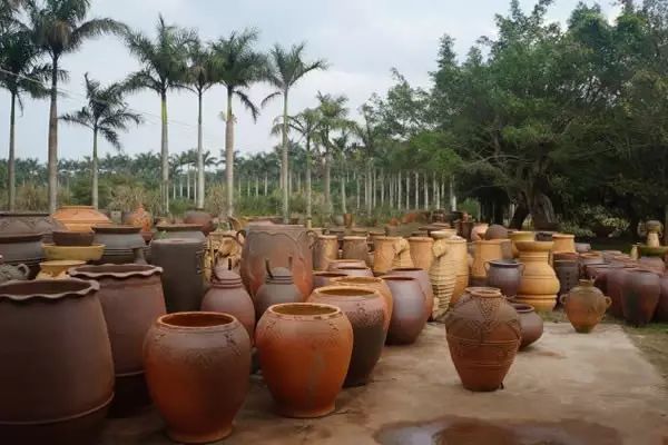 海南富硒地瓜有什么作用（海南的富硒地瓜）-硒宝网