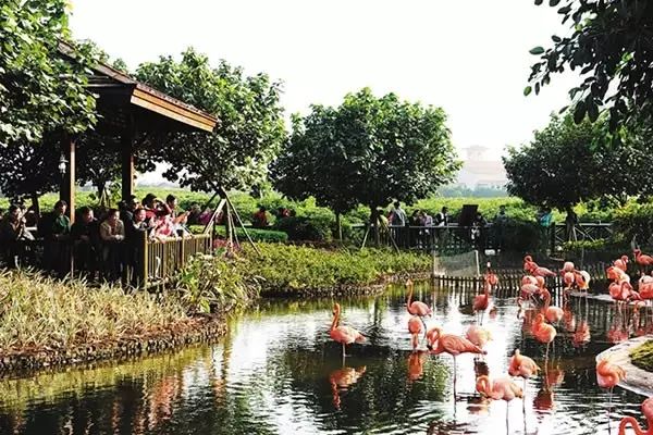 海南富硒地瓜有什么作用（海南的富硒地瓜）-硒宝网