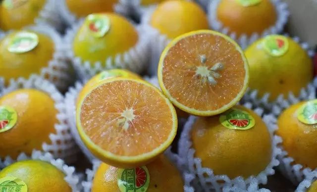 海南富硒地瓜有什么作用（海南的富硒地瓜）-硒宝网