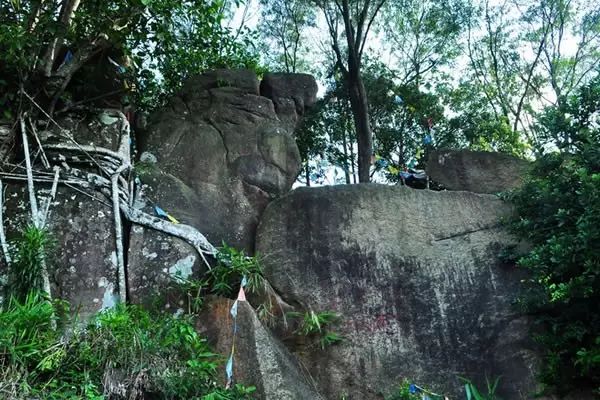 海南富硒地瓜有什么作用（海南的富硒地瓜）-硒宝网