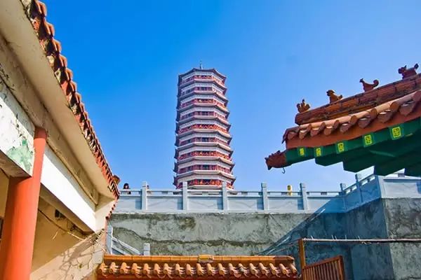 海南富硒地瓜有什么作用（海南的富硒地瓜）-硒宝网