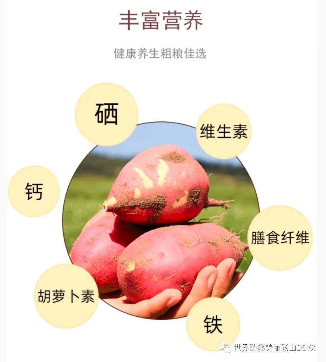 海南桥头富硒地瓜的作用(海南桥头地瓜怎么做好吃)-硒宝网