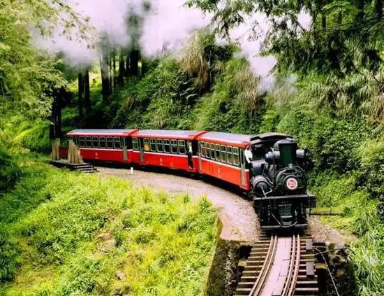 海南富硒地瓜有什么作用（海南富硒地瓜是毒地瓜吗）-硒宝网