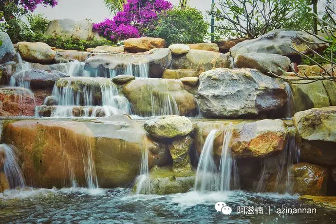 海南富硒地瓜有什么作用（海南富硒地瓜是毒地瓜吗）-硒宝网