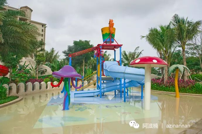 海南富硒地瓜有什么作用（海南富硒地瓜是毒地瓜吗）-硒宝网