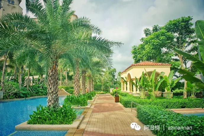 海南富硒地瓜有什么作用（海南富硒地瓜是毒地瓜吗）-硒宝网