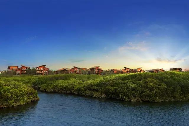 海南富硒地瓜有什么作用（海南富硒地瓜是毒地瓜吗）-硒宝网