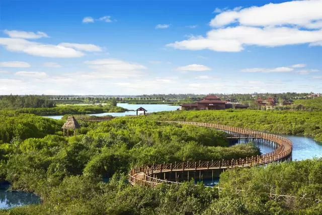 海南富硒地瓜有什么作用（海南富硒地瓜是毒地瓜吗）-硒宝网